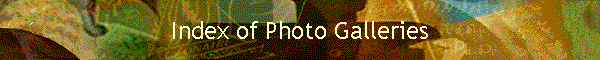 Index of Photo Galleries