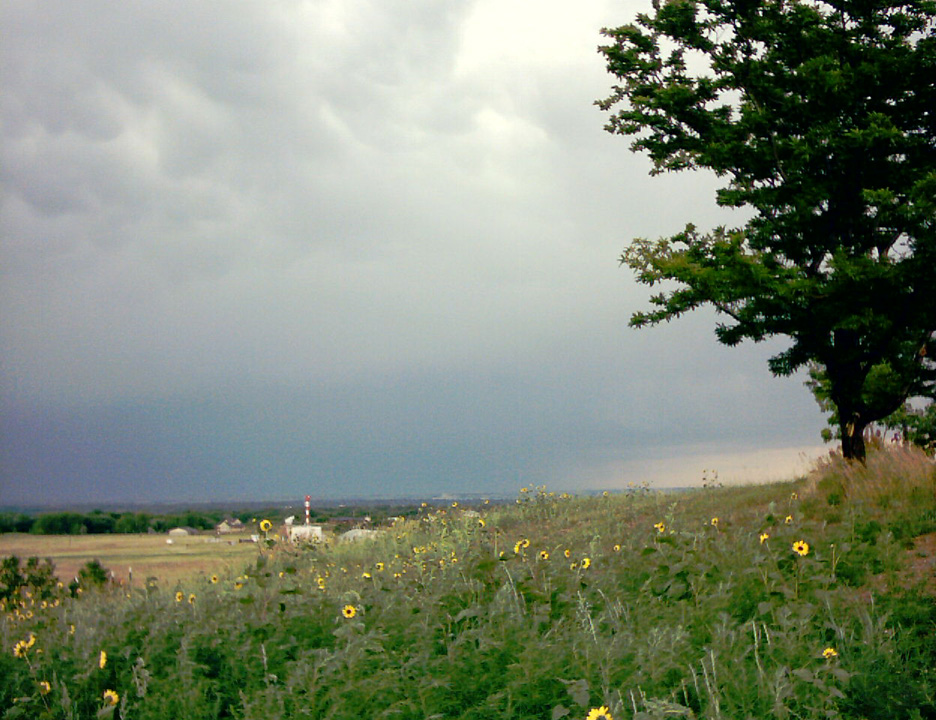 IMAGE0010.JPG
