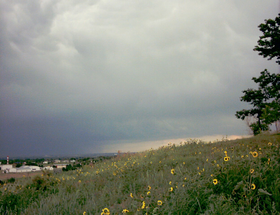 IMAGE0015.JPG