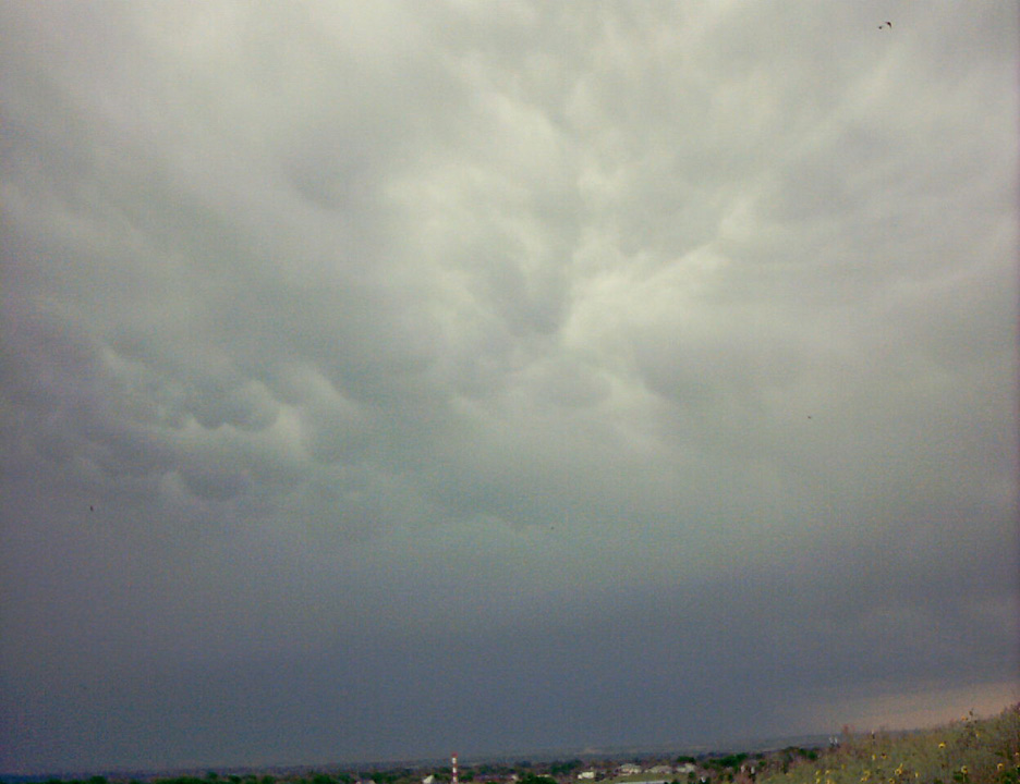 IMAGE0025.JPG