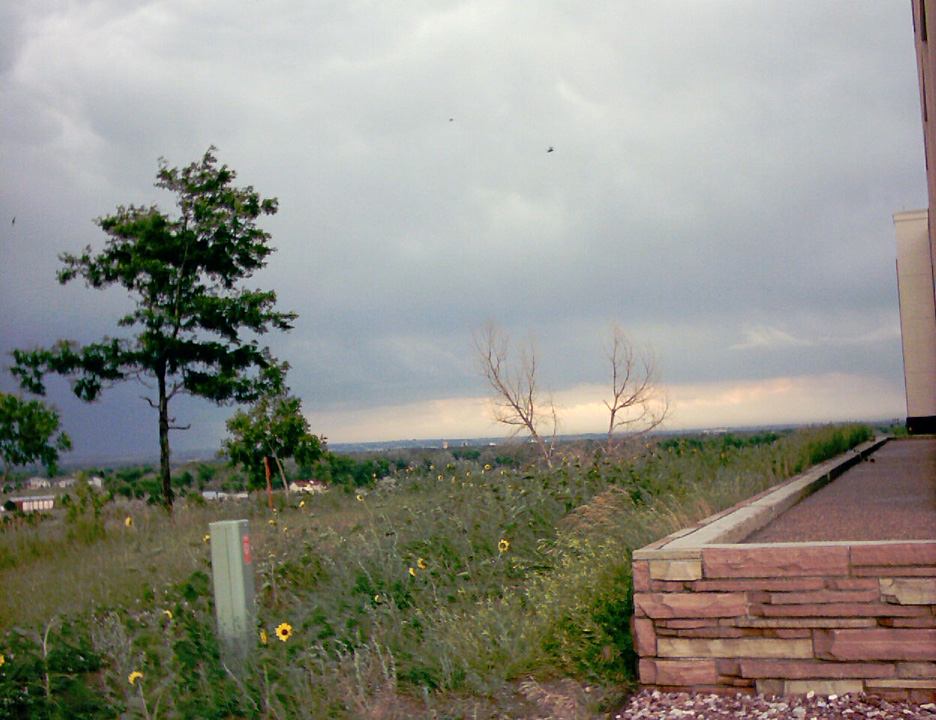 IMAGE0026.JPG
