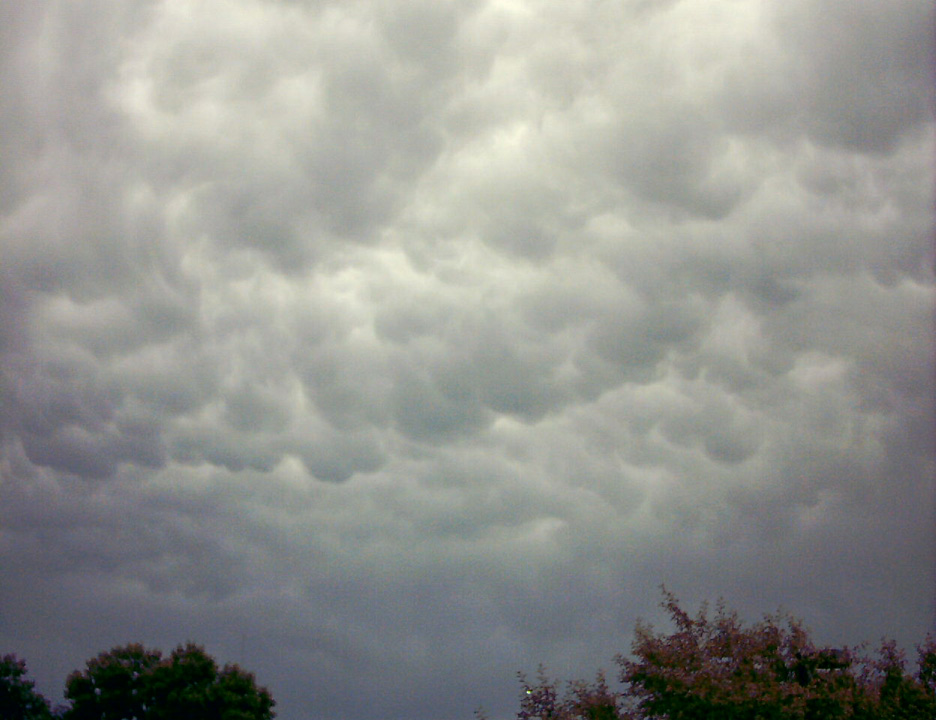 IMAGE0030.JPG