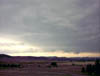 IMAGE0011.JPG